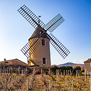 Beaujolais - Moulin a Vent